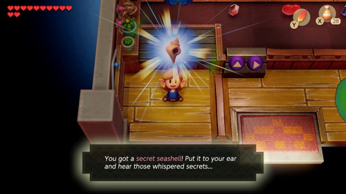 Link's Awakening Switch Secret Seashells