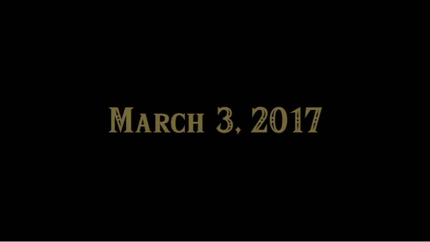 Zelda: Breath of the Wild is launching March 3, 2017
