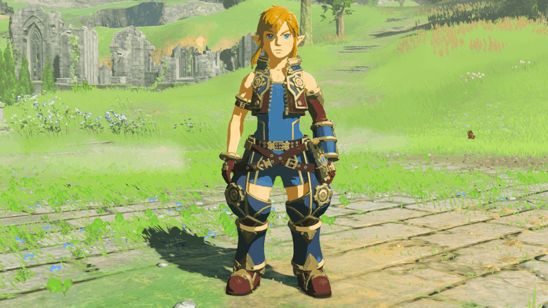 Breath of the Wild Xenoblade Outfit