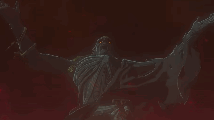 Breath of the Wild Sequel Skeleton