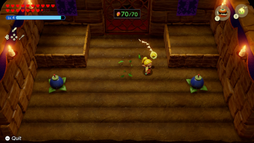 Legend of Zelda: Echoes of Wisdom Heart Pieces