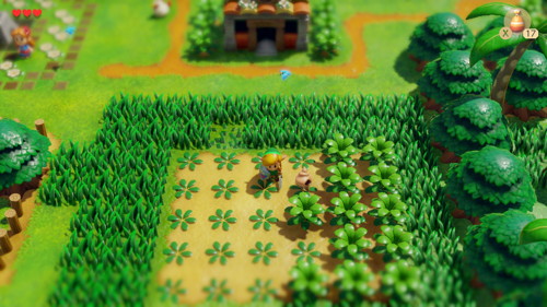 Link's Awakening Switch Secret Seashells