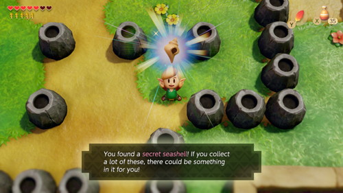 Link's Awakening Switch Secret Seashells