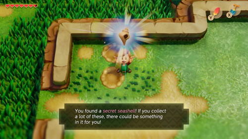 Link's Awakening Switch Secret Seashells