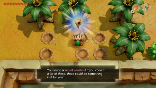 Link's Awakening Switch Secret Seashells