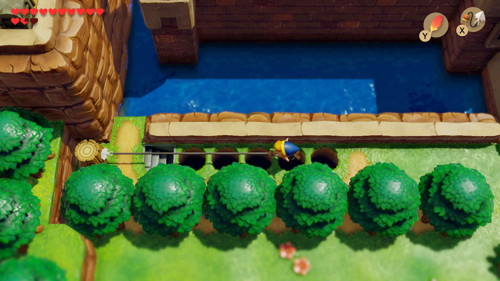 Link's Awakening Switch Secret Seashells