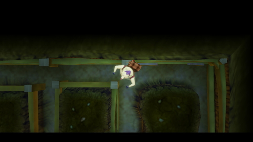 Skyward Sword Heart Piece Fire Sanctuary