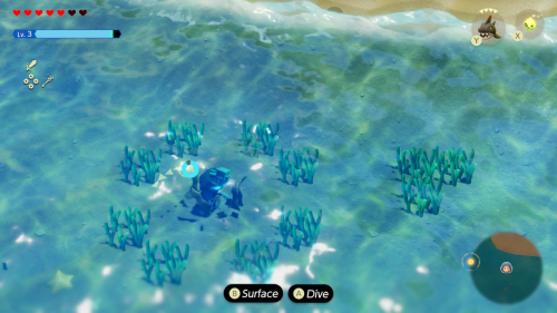 Echoes of Wisdom Walkthrough: Jabul Waters