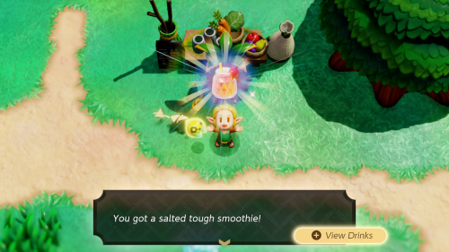 Legend of Zelda: Echoes of Wisdom Walkthrough Null's Body