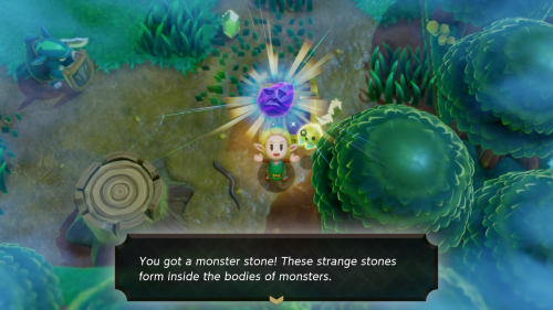 Legend of Zelda: Echoes of Wisdom Walkthrough Null's Body