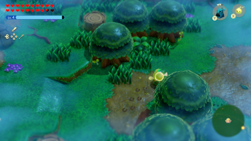 Legend of Zelda: Echoes of Wisdom Walkthrough Null's Body