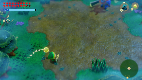 Legend of Zelda: Echoes of Wisdom Walkthrough Null's Body