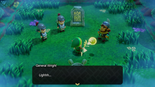 Legend of Zelda: Echoes of Wisdom Walkthrough Null's Body