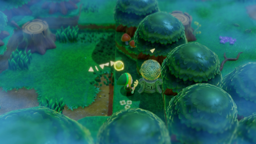 Legend of Zelda: Echoes of Wisdom Walkthrough Null's Body