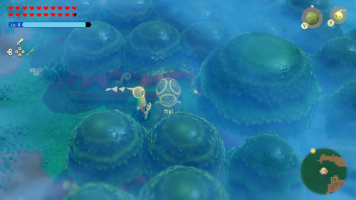 Legend of Zelda: Echoes of Wisdom Walkthrough Null's Body