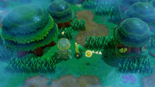 Legend of Zelda: Echoes of Wisdom Walkthrough Null's Body