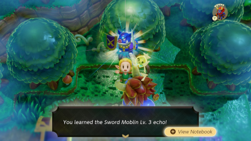 Legend of Zelda: Echoes of Wisdom Walkthrough Null's Body