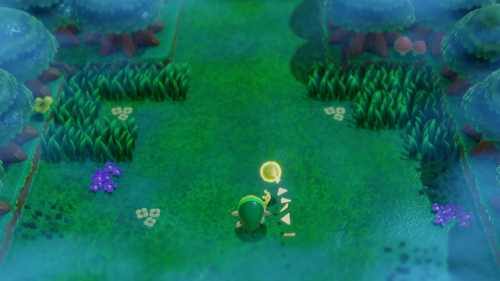 Legend of Zelda: Echoes of Wisdom Walkthrough Null's Body