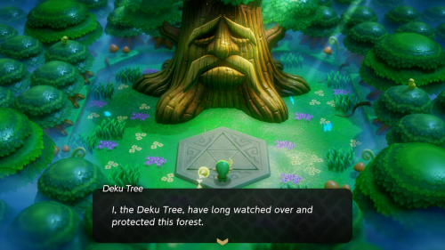 Legend of Zelda: Echoes of Wisdom Walkthrough Null's Body