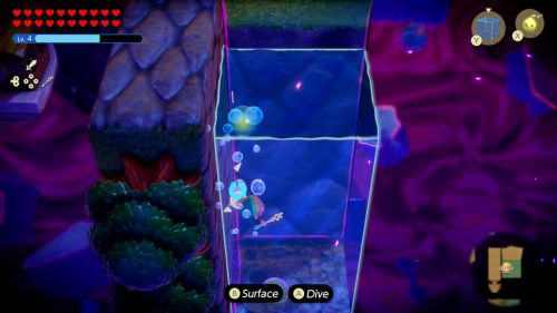 Legend of Zelda: Echoes of Wisdom Walkthrough Null's Body