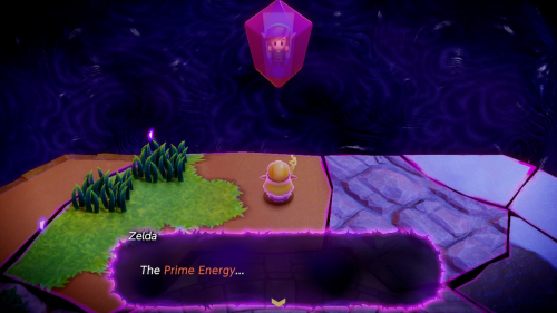 Legend of Zelda: Echoes of Wisdom Walkthrough Null's Body