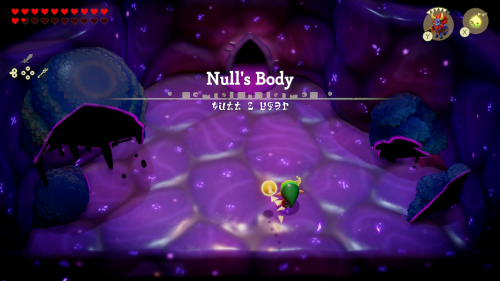 Echoes of Wisdom Walkthrough: Null's Body