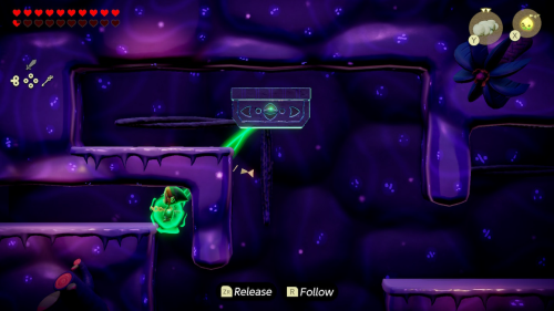 Legend of Zelda: Echoes of Wisdom Walkthrough Null's Body