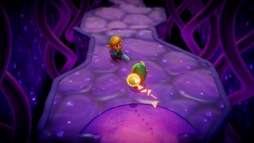 Legend of Zelda: Echoes of Wisdom Walkthrough Null's Body