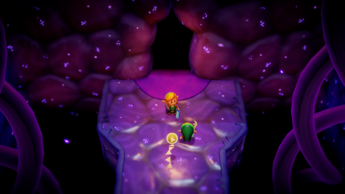 Legend of Zelda: Echoes of Wisdom Walkthrough Null's Body