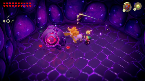 Legend of Zelda: Echoes of Wisdom Walkthrough Null's Body