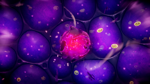 Legend of Zelda: Echoes of Wisdom Walkthrough Null's Body