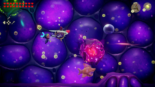 Legend of Zelda: Echoes of Wisdom Walkthrough Null's Body