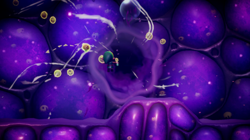 Legend of Zelda: Echoes of Wisdom Walkthrough Null's Body