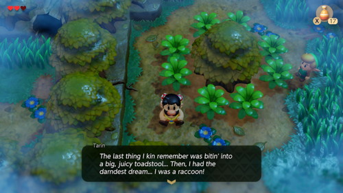 Link's Awakening Switch Walkthrough