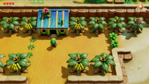 Link's Awakening Switch Walkthrough