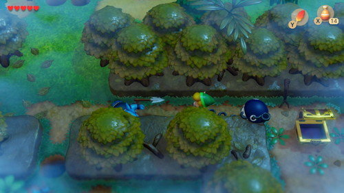 Link's Awakening Switch Walkthrough