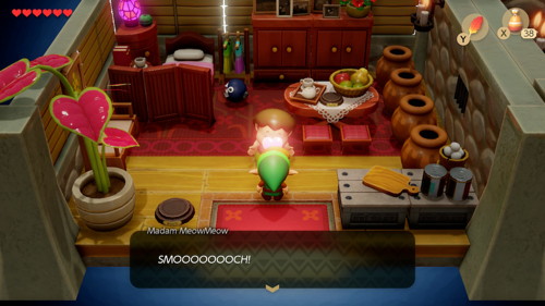 Link's Awakening Switch Walkthrough