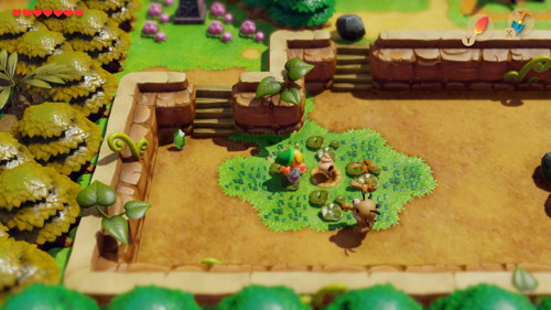 Link's Awakening Switch Walkthrough