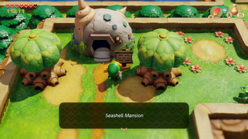 Link's Awakening Switch Walkthrough