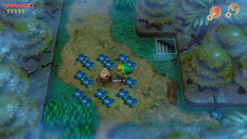 Link's Awakening Switch Walkthrough