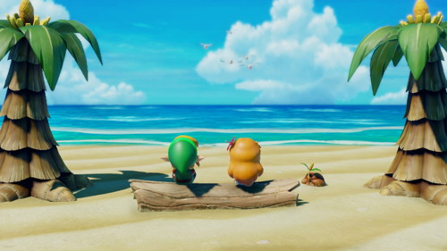 Link's Awakening Switch Walkthrough