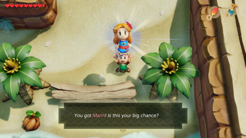 Link's Awakening Switch Walkthrough