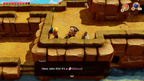 Link's Awakening Switch Walkthrough