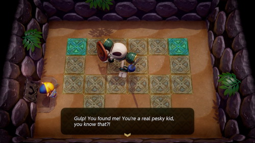 Link's Awakening Switch Walkthrough