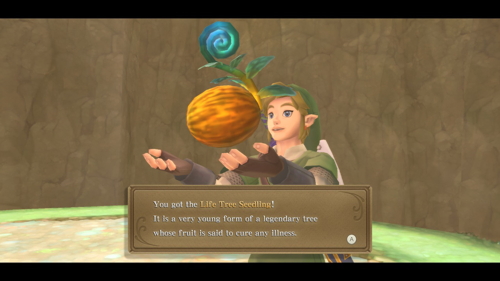 Flooded Faron Woods Walkthrough Skyward Sword HD