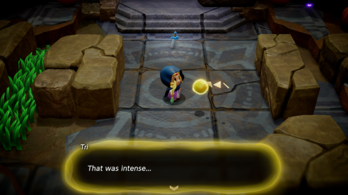 Legend of Zelda: Echoes of Wisdom Bosses Shadow Link