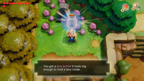 Link's Awakening Switch Fairy Bottles